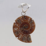 Ammonite Gemstone 925 Sterling Silver Pendant Set