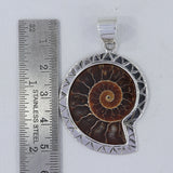 Fossil Ammonite Silver Pendant