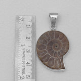 Ammonite Silver Pendants