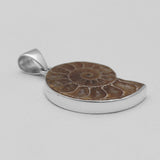 Ammonite Silver Pendants