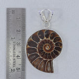 Ammonite Fossil Silver Pendant