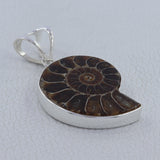 Ammonite Fossil Silver Pendant