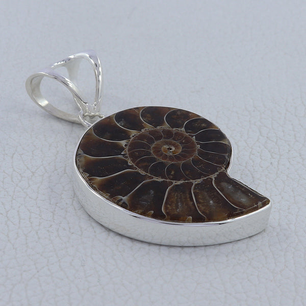 Ammonite Fossil Silver Pendants