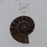 Ammonite Fossil Silver Pendant