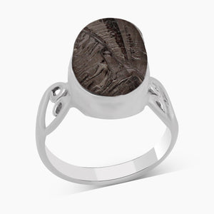 Shungite Silver Rings