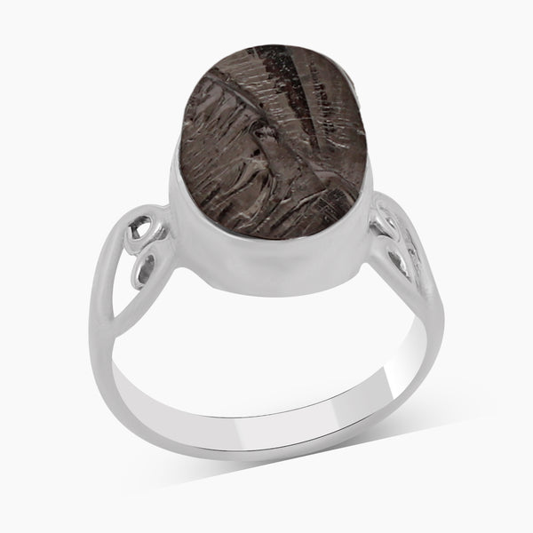 Shungite Silver Rings