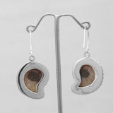 Ammonite Silver Earrings