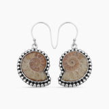 Ammonite Silver Earrings