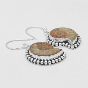 Ammonite Silver Earrings