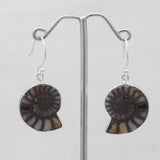Ammonite Silver Earrings