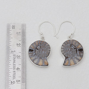 Ammonite Silver Earrings