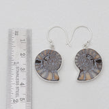 Ammonite Silver Earrings