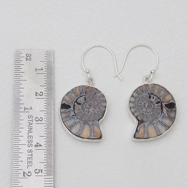 Ammonite Silver Earrings