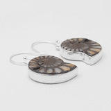 Ammonite Silver Earrings