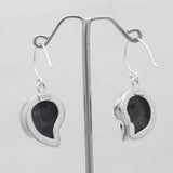 Ammonite Fossil Silver Earrings