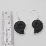 Ammonite Fossil Silver Earrings