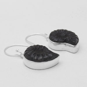 Ammonite Fossil Silver Earrings
