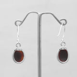 Ammolite Silver Earrings