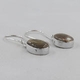 Abalone Shell Silver Earring