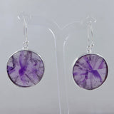 Purple Supper Seven Silver Earrings