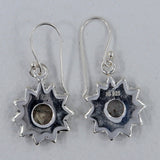 Muonionalusta Meteorite Slice Dangle Earrings