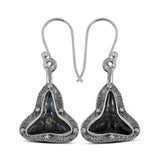 Fossilized Shark Tooth Silver Earrings