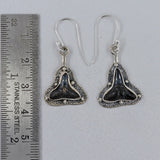 Fossilized Shark Tooth Silver Earrings