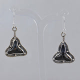 Fossilized Shark Tooth Silver Earrings