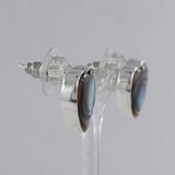 Abalone Shell Silver Earring