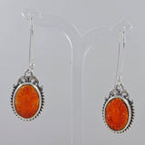 Blue Opal Silver Earrings