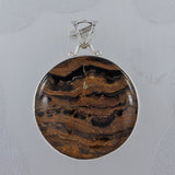 Fossilized Stromatolites Sterling Silver Pendant