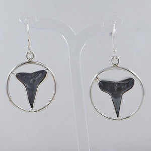 Shark Tooth Silver Dangle Earrings