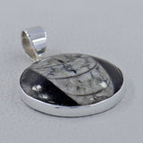 Fossil Orthoceras 925 Sterling Silver Pendant