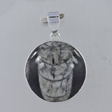 Fossil Orthoceras 925 Sterling Silver Pendant