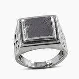 Muonionalusta Meteorite Silver Men's Rings