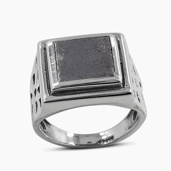 Muonionalusta Meteorite Silver Men's Rings