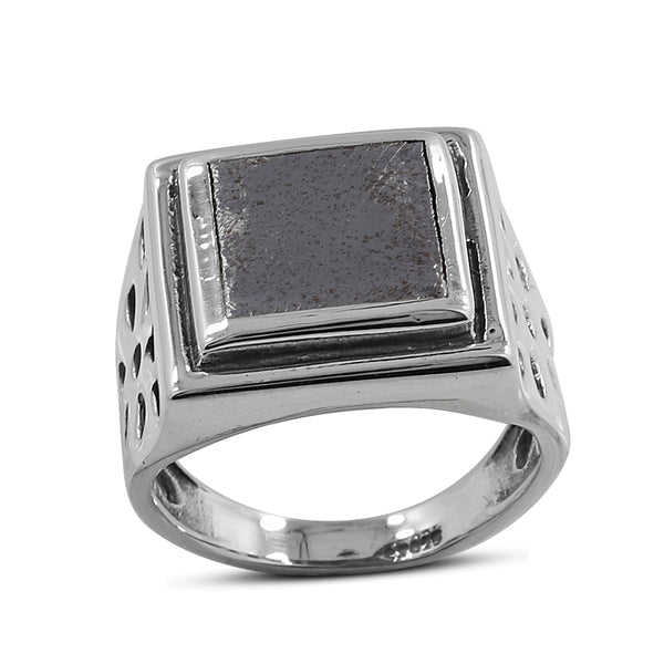 Muonionalusta Meteorite Silver Mens Ring