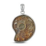 Fossil Ammonite Silver Pendant