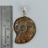 Fossil Ammonite Silver Pendant