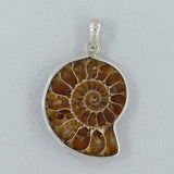 Fossil Ammonite Silver Pendant