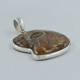 Fossil Ammonite Silver Pendant