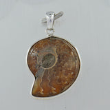 Fossil Ammonite Silver Pendant