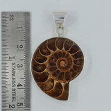 Fossil Ammonite Silver Pendant