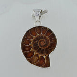 Fossil Ammonite Silver Pendant