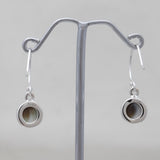 Shiva Eye Shell Silver Earrings