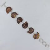 Millions of Years old Fossil Ammonite Jewelry Set