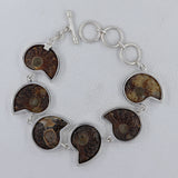 Millions of Years old Fossil Ammonite Jewelry Set