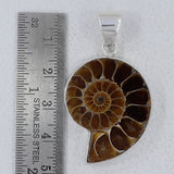 Millions of Years old Fossil Ammonite Jewelry Set