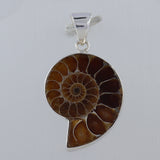 Millions of Years old Fossil Ammonite Jewelry Set