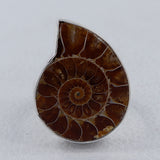 Millions of Years old Fossil Ammonite Jewelry Set